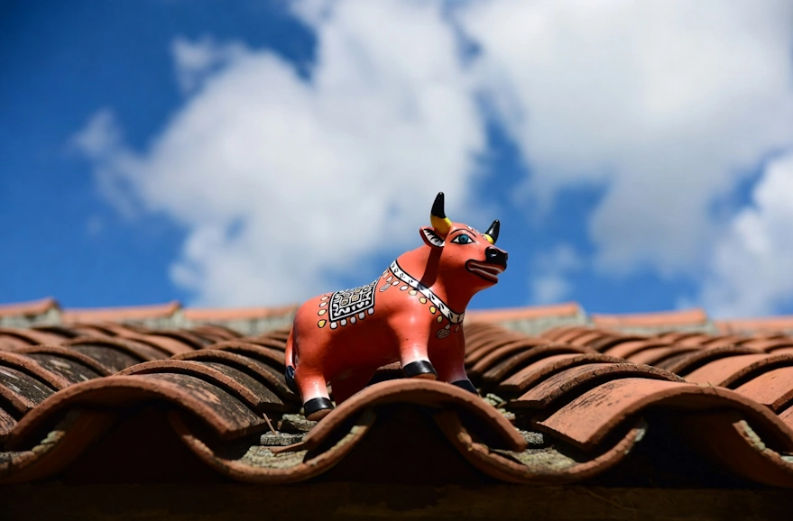 Toritos de Pucara | Qoricancha Expeditions