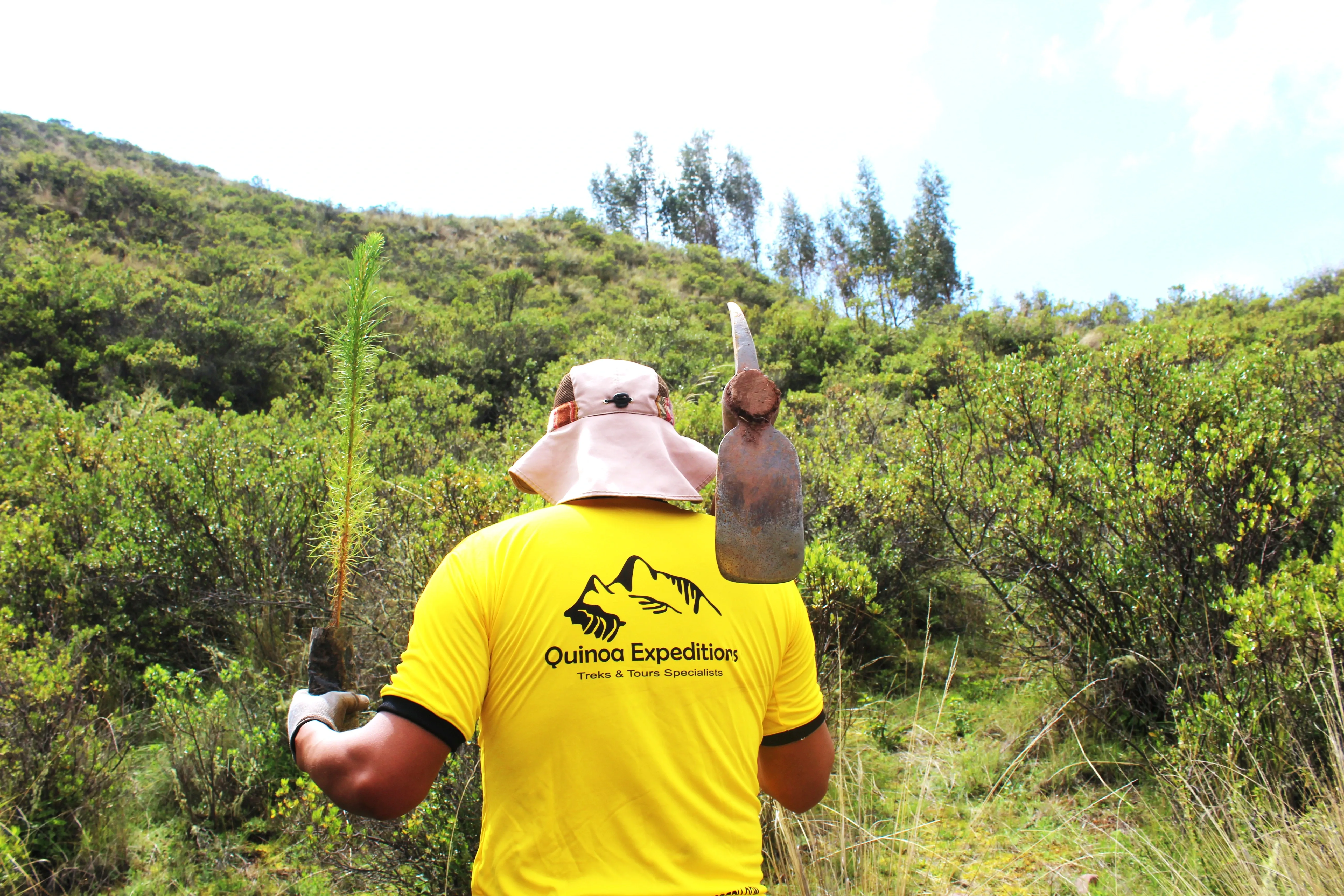 Plant your tree campaign | Quinoa Expeditions